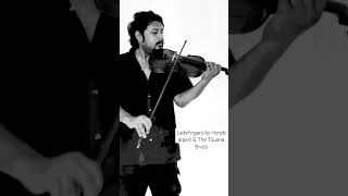 Ladyfingers by Herb Alpert and The Tijuana Brass shorts ytshorts reels violin cover trending [upl. by Jaf]