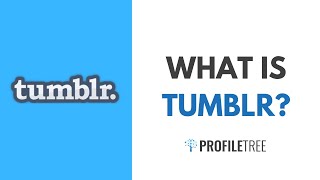 What Is Tumblr Why should I use It [upl. by Fairman]