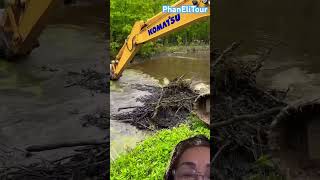 Beaver dam removal excavator short removal excavator [upl. by Suitangi]