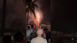 Fireworks at Bayfront Park Miami happy4thofjuly miami [upl. by Tenaej]