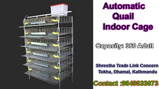 Indoor Automatic Quail Cage in Nepal [upl. by Hintze466]