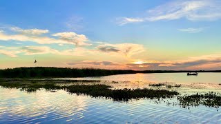 Best Bass Fishing Destinations Headwaters Lake in Florida [upl. by Fabrienne]