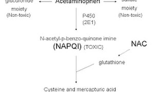 Acetaminophen Toxicity  Poisoning [upl. by Yrffoeg425]