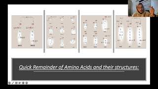 Isoelectric point and amino acid titration  Arabic [upl. by Alexandre656]