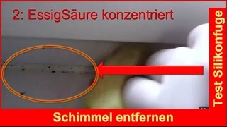 Haushalt Test Schimmel in Fugen mit Essig entfernen Silikonfugen reinigen [upl. by Yelsel]