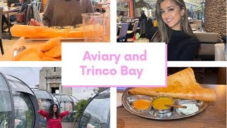 Crispy dosaWatfordAviary Finsbury SquareTrinco BayRayners Lane Restaurant reviews [upl. by Adiana835]