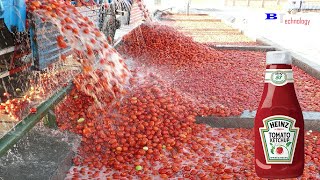 How Tomato Ketchup Is Made Tomato Harvesting And Processing Process With Modern Technology [upl. by Martinez]