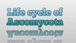 Life Cycle of Ascomycota [upl. by Toblat]