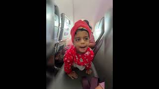 Milu’s first flight ✈️ viralvideomiluminivlogytshortsviral ytshorts [upl. by Zurn480]