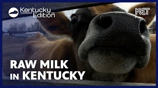 Micro Dairy Offers Herdshares  Kentucky Edition  KET [upl. by Jola173]