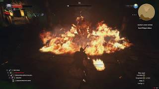 The Witcher 3 Wild Hunt  Ifrit Fight [upl. by Enetsirhc]