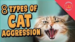 8 Types of Cat Aggression Explained [upl. by Nwahsauq657]