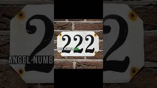 222 Angel Number Brings HAPPINESS and LAUGHTER to Your Life [upl. by Brianne]