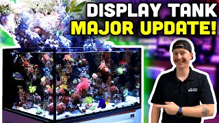 Waterfall Reef Tank Update Mangroves New Corals and MORE [upl. by Neilla941]