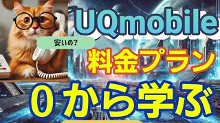 【徹底解説】複雑なスマホ料金プランを分かりやすく解説【UQmobile】 [upl. by Anoid]