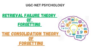 Retrieval Failure Theory of Forgetting and Thr Consolidation Theory of Forgetting ugcnet ugcnetps [upl. by Neehcas]