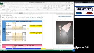 Creating A Meal Plan Tool To Calc Macros amp Caloric Intake in UNDER 3 minutes [upl. by Rucker731]