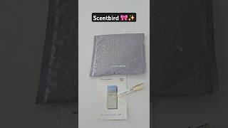 🫧 scentbird scent perfume monthlysubscription subscription shorts unboxing dolcegabanna [upl. by Marilla]