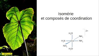 Isomérie géométrique des complexes [upl. by Cann964]