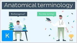 Why you need anatomical terminology as a healthcare professional  series intro  Kenhub [upl. by Hope]