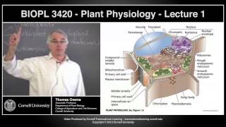 BIOPL3420  Plant Physiology  Lecture 1 [upl. by Ahsla950]