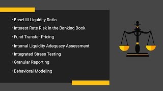 Evolution of Balance sheet Management Practice [upl. by Gracie]