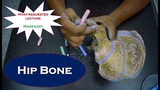 Anatomy of Hip bone  Simplified and made easy  Simplified amp made easy for beginners [upl. by Lokin899]