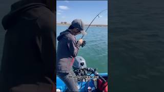 Ladies Skiff Day Part 1  Sardines fishing skiff boatfishing fishinglife fishinggirls [upl. by Noah]