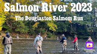 Salmon River 2023 The Douglaston Salmon Run [upl. by Merriman]