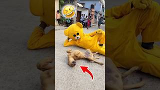 Teddy 🧸with Dog🐕🤣……funnyshorts comedy teddybear [upl. by Shelba]