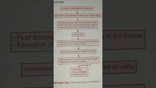 Pathophysiology of mastoiditis   AHN notes [upl. by Enitsenre]