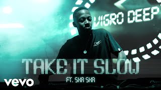 Vigro Deep  Take It Slow Visualizer ft Sha Sha [upl. by Nnoved409]