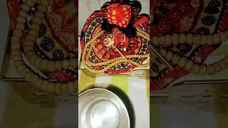 Murli ki dhun ma trending short video hare Krishna 🙏🙏🙏🙏🙏 [upl. by Thunell]