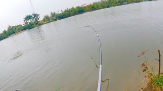 The river fish is so loud fishing like this is so cool [upl. by Ahsimed]