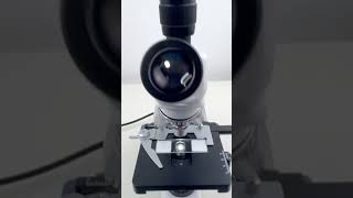 Paramecium magnified 400 times is surprisingshorts fyp science microscope shortsvideo [upl. by Alleyne]