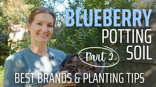 Blueberry Potting Soil PART 2  Storebought Soil Review  Planting Tips [upl. by Annawak]