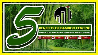 Top 5 Benefits of Bamboo Fencing  EcoFriendly amp Stylish Solutions for Your Yard 🌿 [upl. by Annaiel]