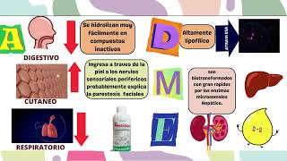 Toxicología de Piretrina y Piretroides UNSAAC [upl. by Steddman]