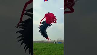 Largest Dragon Kite in China shorts [upl. by Lezley]