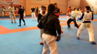 Martial Arts  Rafael Aghayev 5 th international Training [upl. by Spurgeon537]