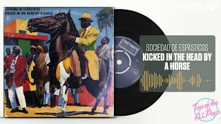 Sociedad De Espásticos  Kicked In The Head By A Horse AI song [upl. by Supple]