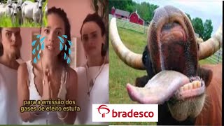 Olha só 🤣Bradesco tá AGRO quotBAGARAIquot Comercial NOVO do Bradesco amando o AGRO [upl. by Derdle]