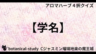 00501【学名】『トゥルーバルサム』油の学名【アロマハーブ４択クイズ】 [upl. by Kursh]