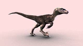 Raptor walk cycle [upl. by Wane]