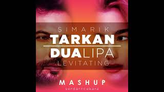 Tarkan amp Dua Lipa  Şımarık amp Levitating Mashup by serdarncekara [upl. by Gnos211]