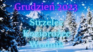 ☃️❄️ Grudzień 2023 🎄❄️ Strzelec ❄️Koziorożec ❄️ Wodnik ❄️ [upl. by Nevet219]