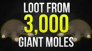 OSRS Loot From 3000 Giant Moles Includes Useful Calcs [upl. by Armalla]