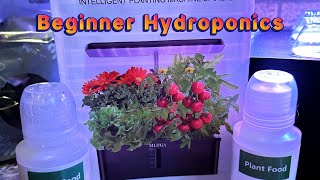 Beginner Hydroponics [upl. by Llacam330]