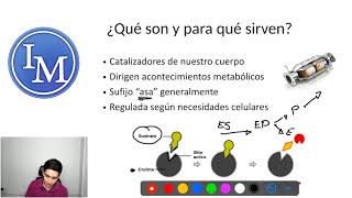 Bioquímica  Enzimas  Catalizadores Enzimáticos [upl. by Aihpled824]