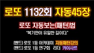 1132회 로또자동45장 원본 [upl. by Elleb143]